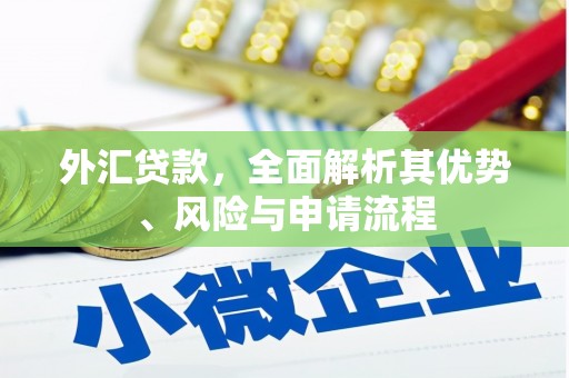 竹北外汇贷款，全面解析其优势、风险与申请流程