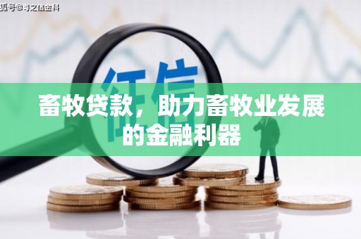 竹北畜牧贷款，助力畜牧业发展的金融利器