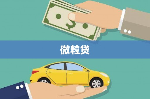 竹北微粒贷