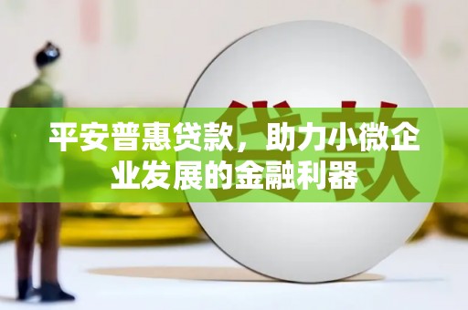 竹北平安普惠贷款，助力小微企业发展的金融利器