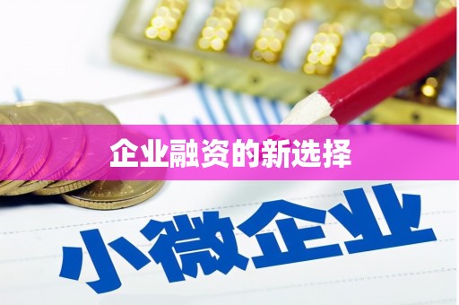 竹北企业融资的新选择