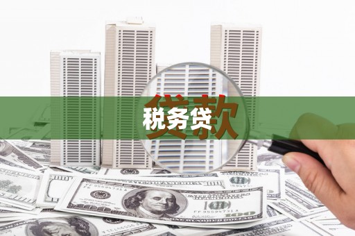 竹北税务贷