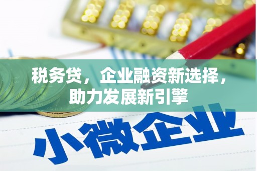 竹北税务贷，企业融资新选择，助力发展新引擎