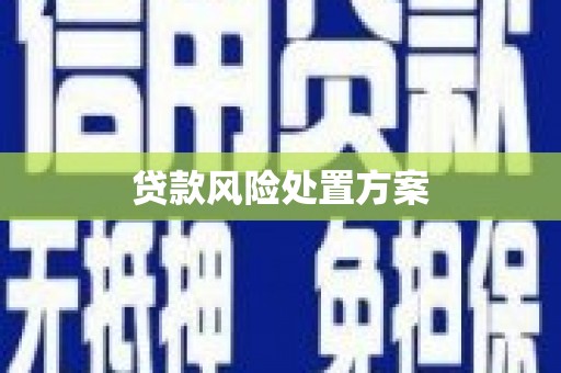 竹北贷款风险处置方案