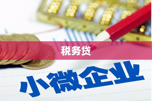竹北税务贷