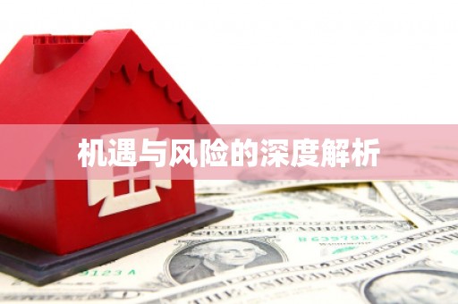 竹北机遇与风险的深度解析
