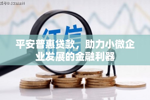 竹北平安普惠贷款，助力小微企业发展的金融利器