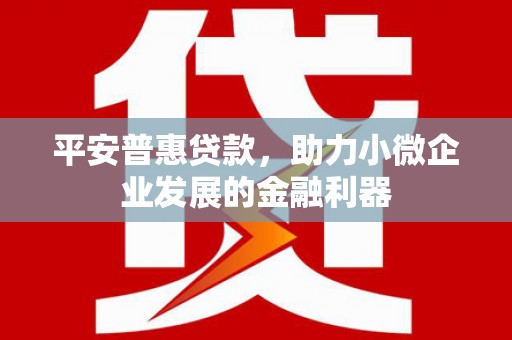竹北平安普惠贷款，助力小微企业发展的金融利器