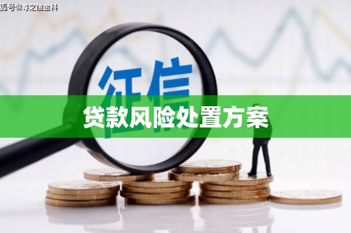 竹北贷款风险处置方案